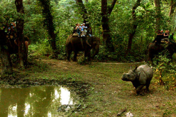Chitwan Tour Package From Gorakhpur